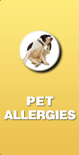 pet allergies