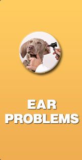 ear problems